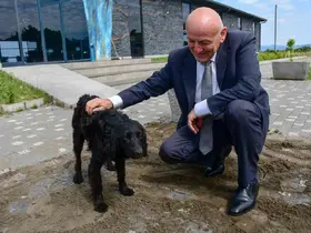 Terme’de sevgi ve merhamet projesi
