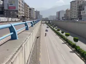 Ters yönde ilerleyerek çalan kornalara ve uyarılara aldırış etmeyen sürücü hayrete düşürdü
