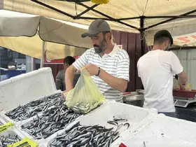 Tezgahlarda hamsi bolluğu
