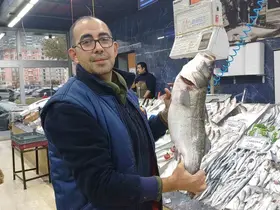 Tezgahlarda palamut yok, hamsi çok
