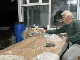 Tilki ailesi her akşam yemek için bağ evine geliyor
