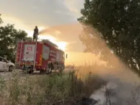Tır lastiğinde çıkan yangın tarlaya sıçramadan söndürüldü

