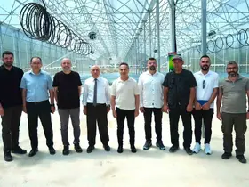 TOGÜ tohumluk patates üretimine başlıyor

