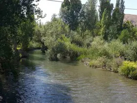 Tohma Çayı’nın ekolojik sağlığı bilimsel olarak ortaya kondu

