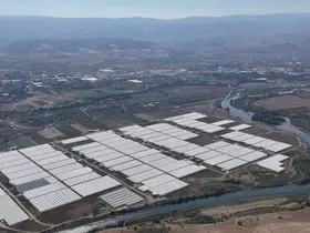 Tokat çiçekçilikte bölge lideri oldu; 600 dekarda 20 çeşit çiçek yetiştiriliyor
