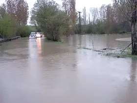 Tokat’ta Çekerek Irmağı taştı, yollar ve tarlalar sular altında kaldı
