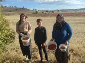 Toplaması zahmetli şifası saymakla bitmiyor
