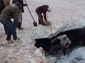 Tortum’da buzullarda dana kurtarma operasyonu
