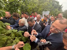 Trabzon’da kahverengi kokarcaya karşı doğal ordu göreve başladı
