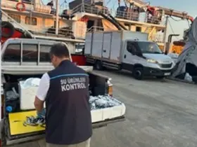 Trabzon’da usulsüz hamsi çıkışına 37 bin TL ceza
