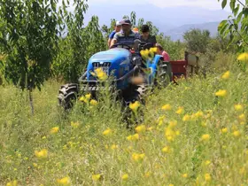 Traktörde "50 binler kulübü"ne 2 şehir daha katıldı
