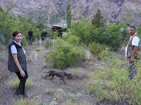 Trüf mantarının izini eğitimli köpekler sürdü
