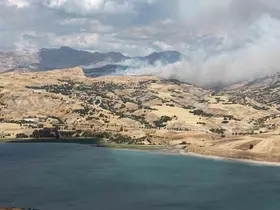 Tunceli’de kırsal alan yangını: Müdahale sürüyor
