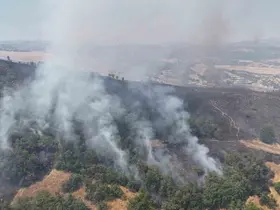 Tunceli’de orman yangını: Havadan ve karadan müdahaleye başlandı
