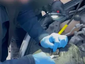 Tunceli’de uyuşturucu operasyonu: 2 şüpheli tutuklandı

