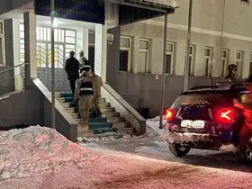 Tunceli’de yavru köpeğe eziyet eden şahıs tutuklandı
