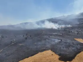 Tunceli’deki orman yangını söndürüldü
