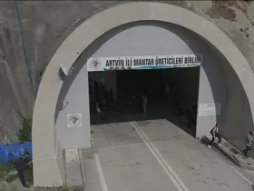 Tünelde üretilen istiridye mantarının ilk hasadı gerçekleştirildi
