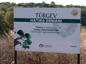 TÜRGEV’in beş yılda 20 bin 615 fidanla yeşerttiği ‘Hatıra Ormanı’ geleceğe umut olacak
