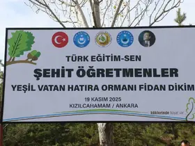 Türk Eğitim-Sen Genel Başkanı Geylan: "Maalesef her yıl on binlerce hektarımız yanıyor"
