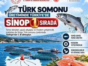 Türk somonu dünyaya ulaşıyor
