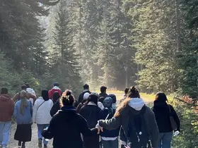 Türkeli’de doğa yürüyüşü
