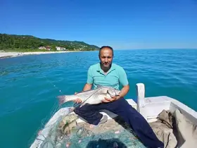 Türkeli’de nadir görülen kötek balığı avlandı
