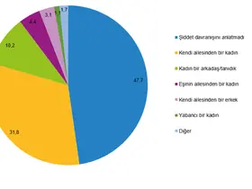 Türkiye Kadına Yönelik Şiddet Araştırması, 2024