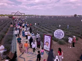 Türkiye'nin en büyük lavanta bahçesinde festival heyecanı