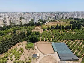 Türkiye son 20 yılda, Antalya’dan büyük tarım alanını kaybetti
