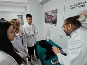 Türkiye’de bir ilk: Meslek yüksekokulunda veteriner sağlık eğitimi simülatörlerle veriliyor
