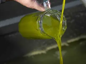 Türkiye’de satılan zeytinyağının yüzde 65’i ‘Ayvalık zeytinyağı’ adıyla piyasada
