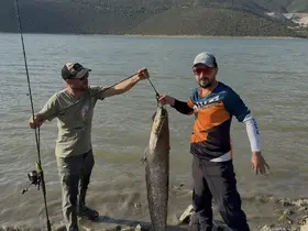 Turna avına çıkan balıkçıların oltasına 127 santimlik dev yayın takıldı
