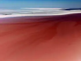 Tuz Gölü pembe renge büründü
