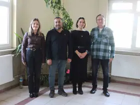 Üç yeni endemik fare türü keşfedildi
