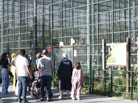 Ücretsiz olan hayvanat bahçesine ziyaretçi akını
