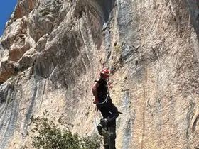 Uçurumda mahsur kalan keçi, itfaiye ekiplerince kurtarıldı
