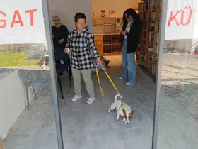 Ukraynalı kadın hayatının şokunu yaşadı, kurt köpeğiyle dalaşan kucağındaki köpeği parmağını parçaladı
