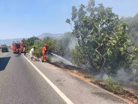 Ula’da yol kenarında başlayan alevler korkuttu