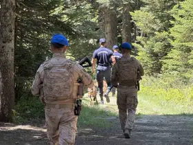 Uludağ’ın zümrüt yeşili ormanları Jandarma’ya emanet
