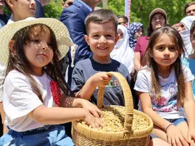 Ulukale dutunda bu yıl 650 ton rekolte beklentisi
