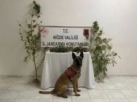 Ulukışla’da uyuşturucu operasyonu: 350 gram uyuşturucu ele geçirildi
