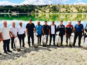 Uluköy Barajı’na 75 bin sazan yavrusu bırakıldı
