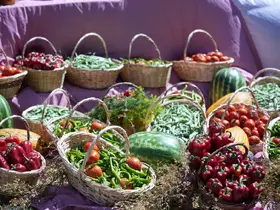 Uluslararası Çubuk Turşu ve Kültür Festivali başladı
