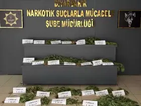 UNESCO Dünya Mirası Listesi’ndeki Hevsel Bahçeleri’nde uyuşturucu ele geçirildi
