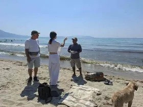 Üremek için geldikleri kıyılarda 3 caretta caretta ölü bulundu
