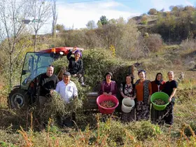 Üreticiden ihtiyaç sahiplerine uzanan dayanışma ağı
