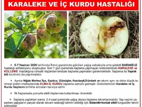 Üreticilere karaleke ve iç kurdu uyarısı

