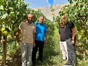 Üreticinin hasat heyecanına ortak oldular
