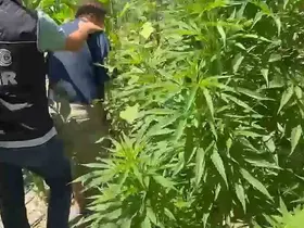 Urla’da uyuşturucu operasyonu
